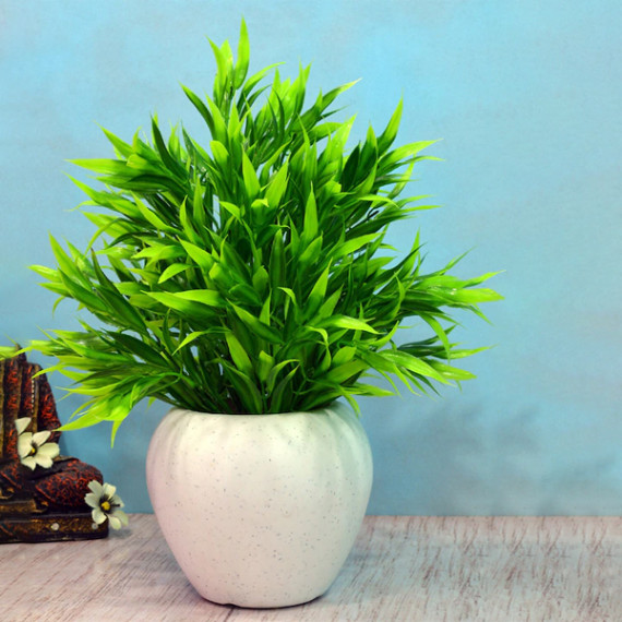 http://43.204.22.136/products/green-white-artificial-bamboo-leaves-in-apple-pot