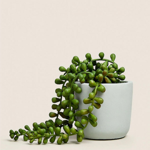 http://43.204.22.136/products/green-artificial-plant-with-pot